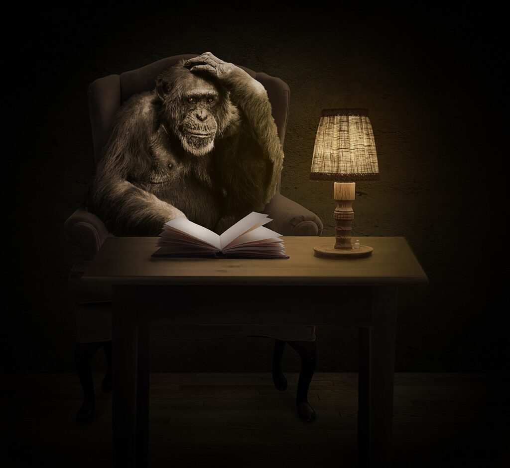 本を読むチンパンジー